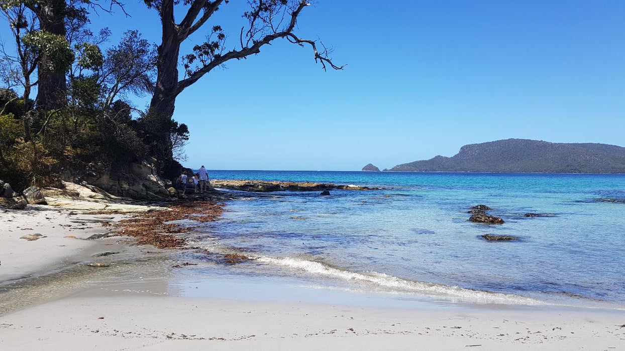 Bruny Island Day Tour - We Wander