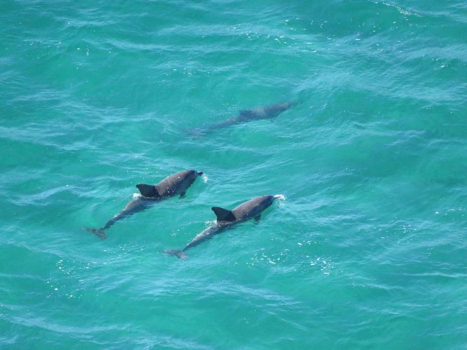 Byron Bay Tour - We Wander