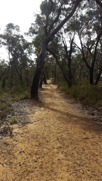 E- Bike (Electric) Guided Tour - Half Day - Hanging Rock - Blackheath