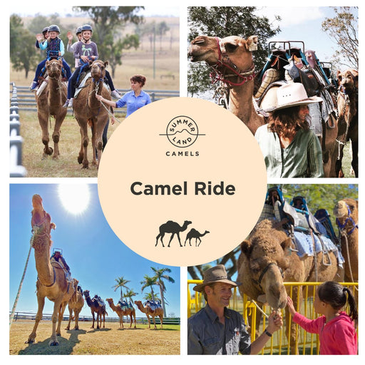 Camel Ride - We Wander