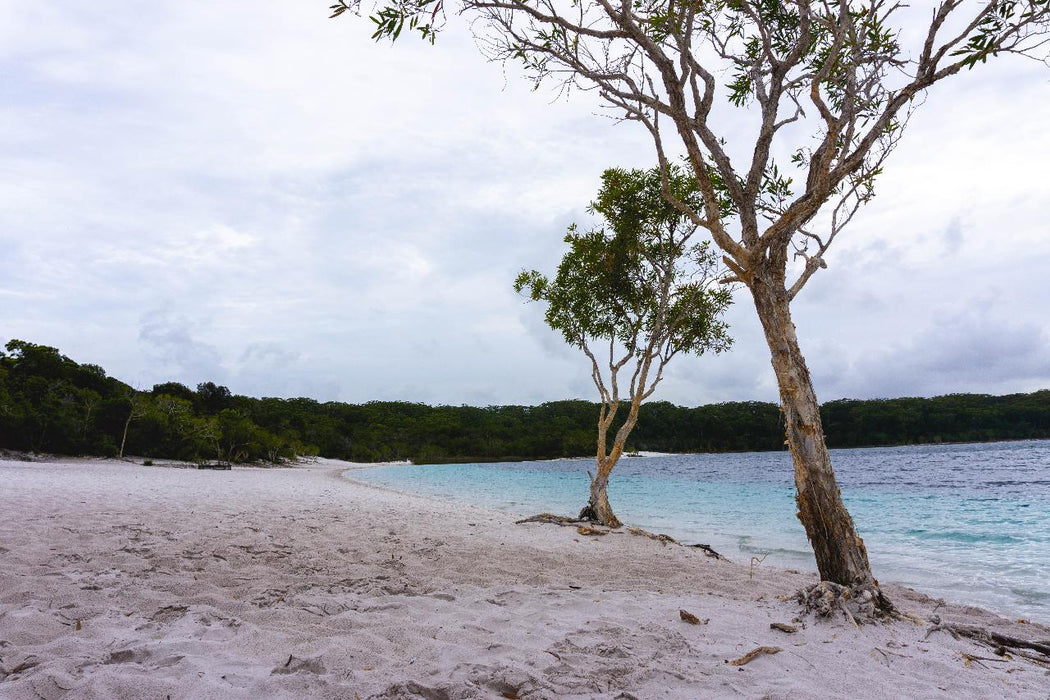 Pack-Free Camping: Lake Mckenzie Eco Walk - 2 Days