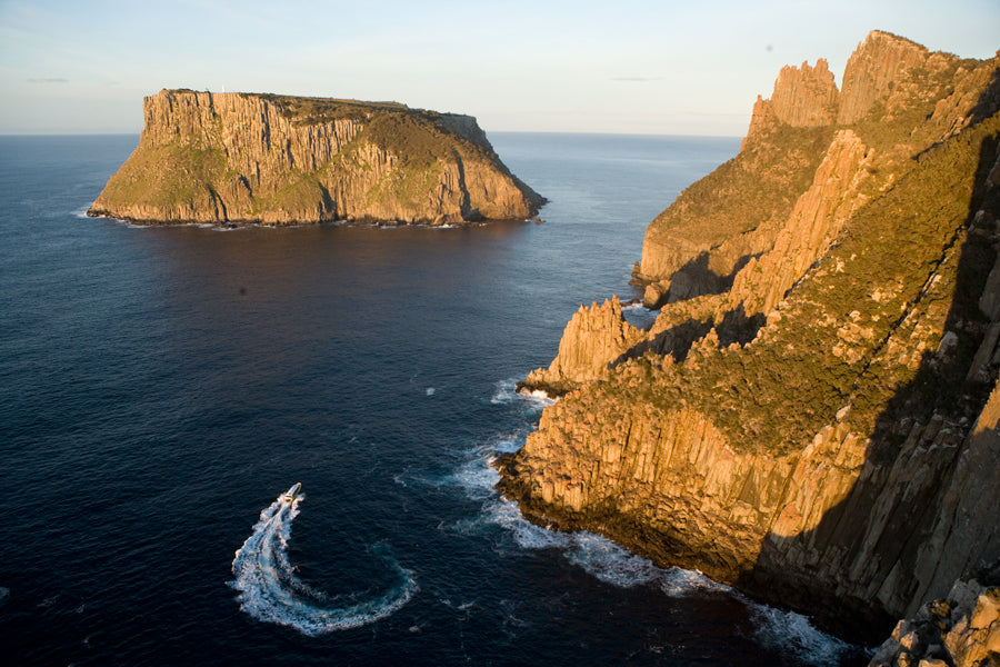 Tasman Island Cruises Full Day Tour From Hobart & Devil Park