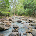 Cedar Creek Waterfalls - We Wander