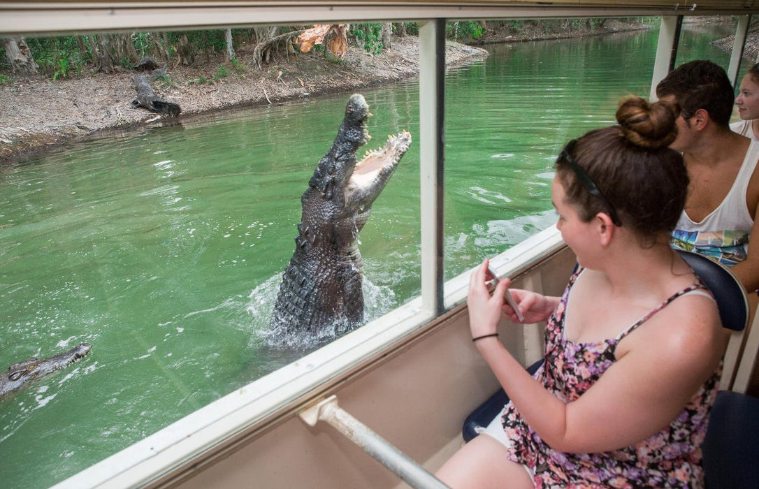 Kuranda: Scenic Rail, Skyrail And Hartley's Crocodile Adventures Q-0850 S-1130 Xc