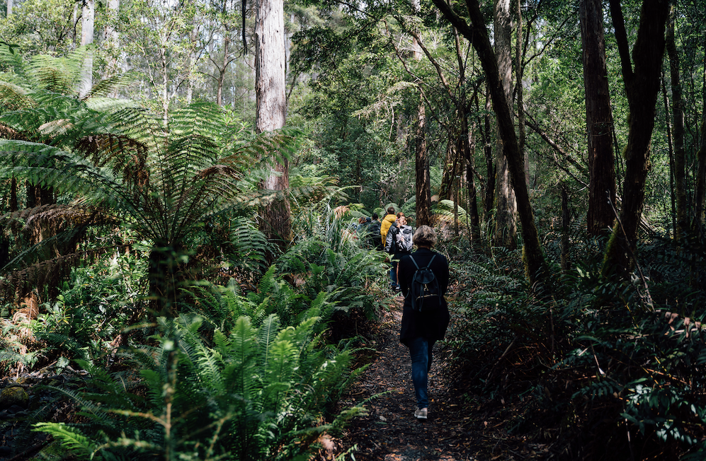 2 Day Bruny Island & Port Arthur Tour From Hobart