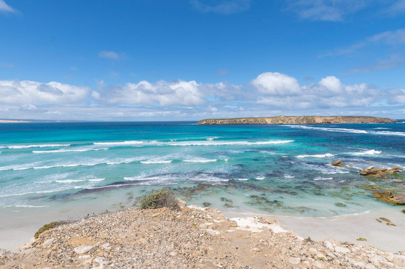 Coffin Bay - Oyster, Off - Road Sightseeing 4Wd Full - Day Tour - We Wander