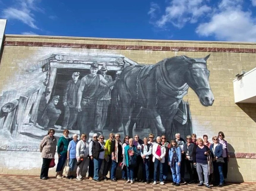 Collie Town Mural Tour Half Day - We Wander