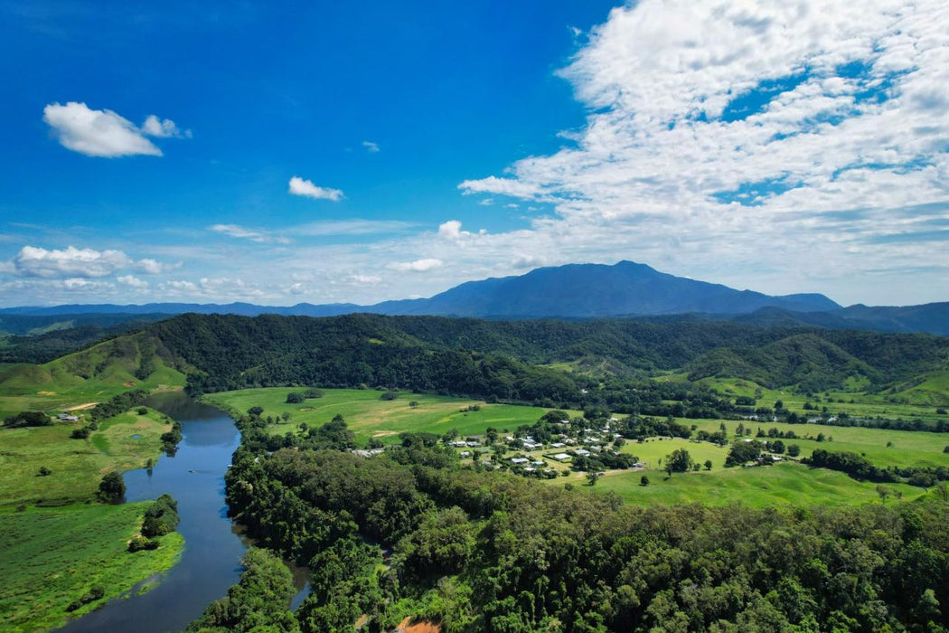 Crocodile Express Daintree Rainforest & Wildlife Cruise From Daintree Village - We Wander