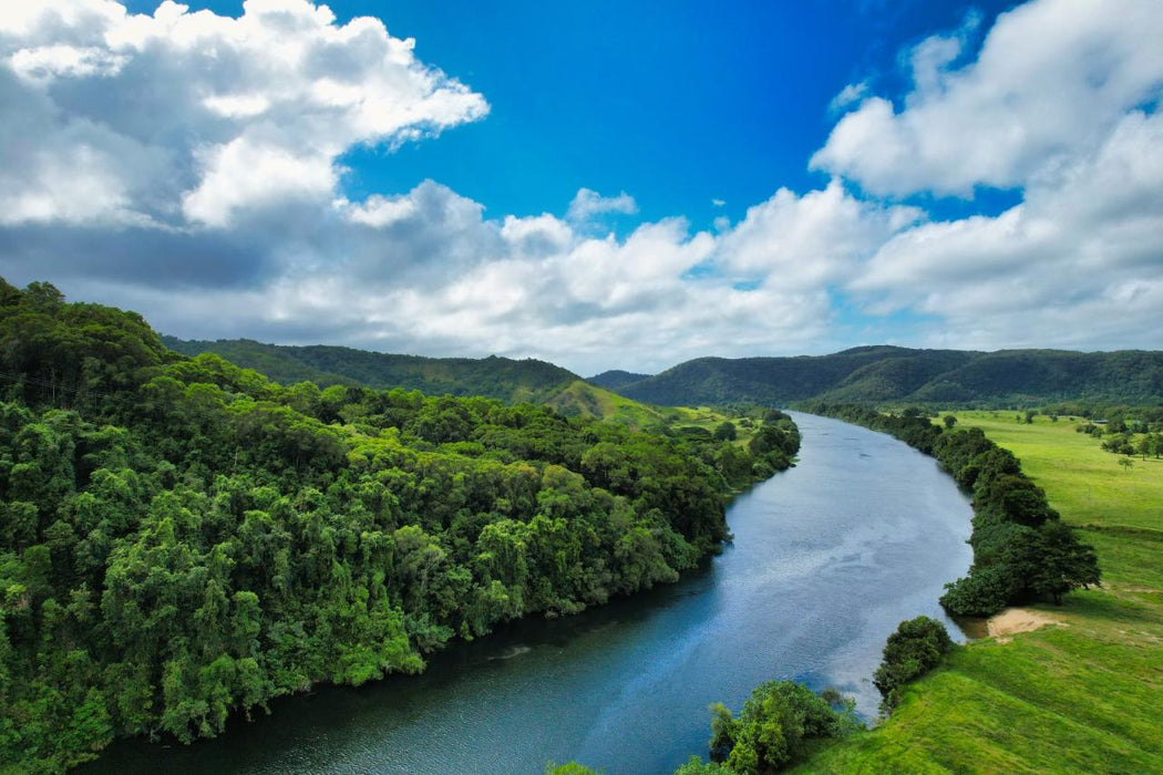 Crocodile Express Daintree Rainforest & Wildlife Cruise From Daintree Village - We Wander