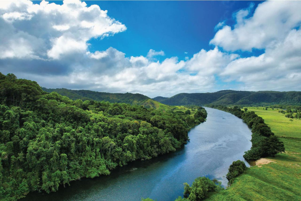 Crocodile Express Daintree River Cruise Daintree Village & Daintree Discovery Centre Unlimited Pass - We Wander