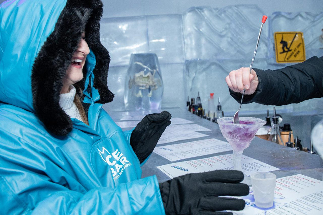 Premium Plus Arctic Experience At Icebar