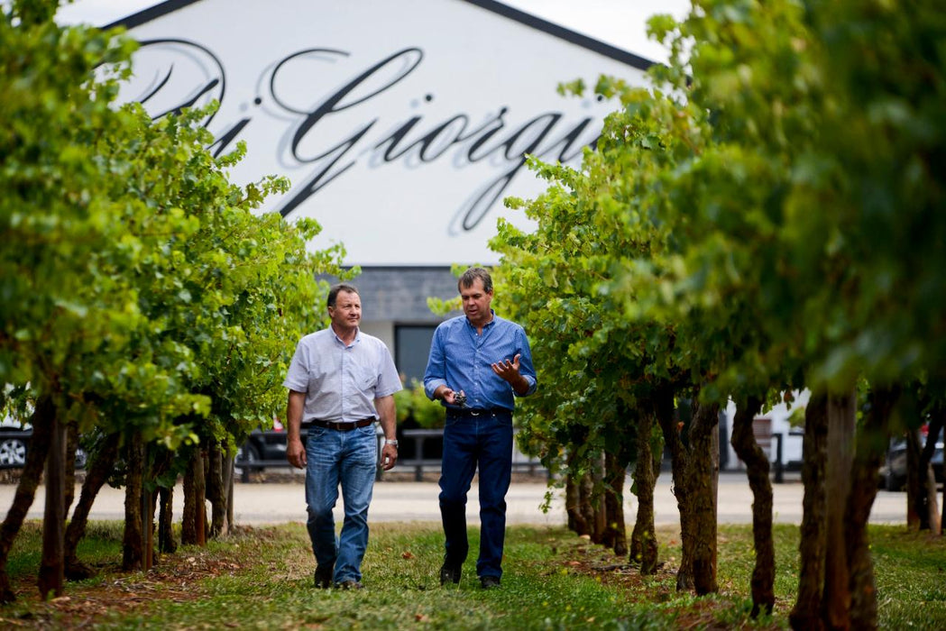 Wine Flight With Six Bites At Digiorgio Family Wines