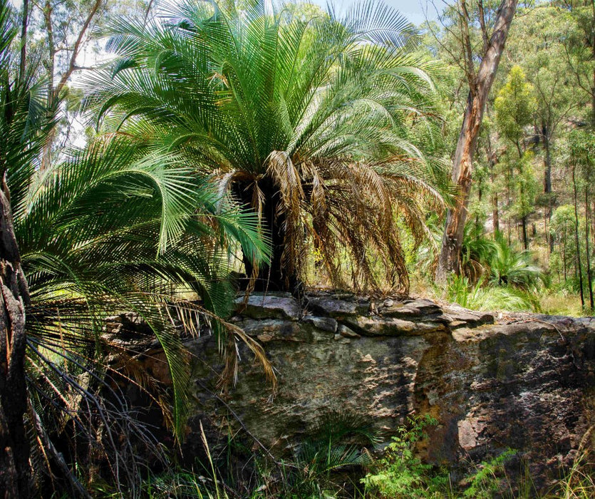 Discover Carnarvon Ranges - We Wander