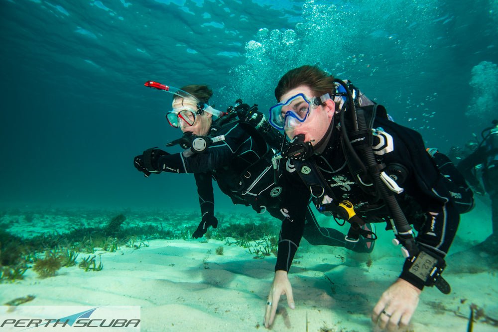 Discover Local Diving In Perth - We Wander