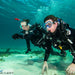 Discover Local Diving In Perth - We Wander