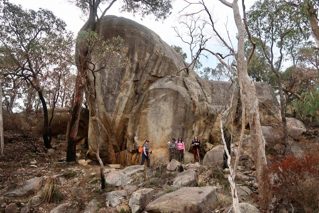 Discover The Bibbulmun - Kalamunda To Mundaring Hiking Experience - We Wander