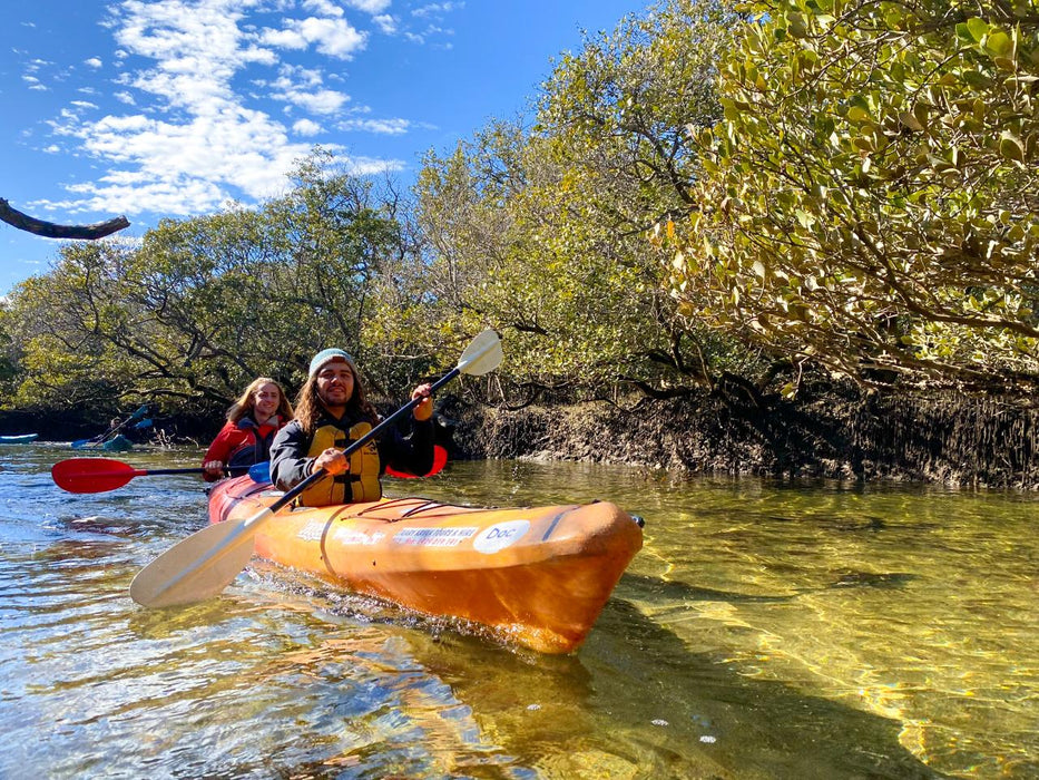 Dolphin Sanctuary Mangroves Tour - We Wander