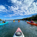 Dolphin Sanctuary Mangroves Tour - We Wander