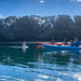 Dolphin Sanctuary Mangroves Tour - We Wander