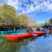 Dolphin Sanctuary & Ships Graveyard Kayak Tour - We Wander