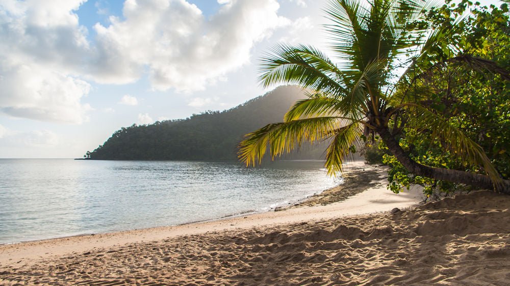 Dunk Island Adventures - Mission Beach Day Return - We Wander