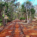 Dwellingup Trains, Trails & Woodfired Delights - We Wander