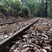 Dwellingup Trains, Trails & Woodfired Delights - We Wander