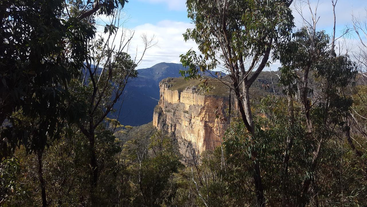 E - Bike (Electric) Guided Tour - Half Day - Hanging Rock - Blackheath - We Wander