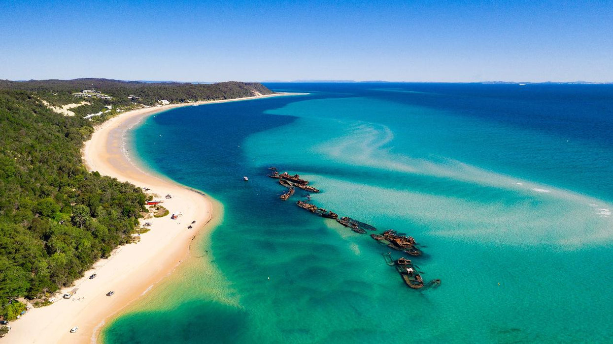 Dolphin & Tangalooma Wrecks Cruise