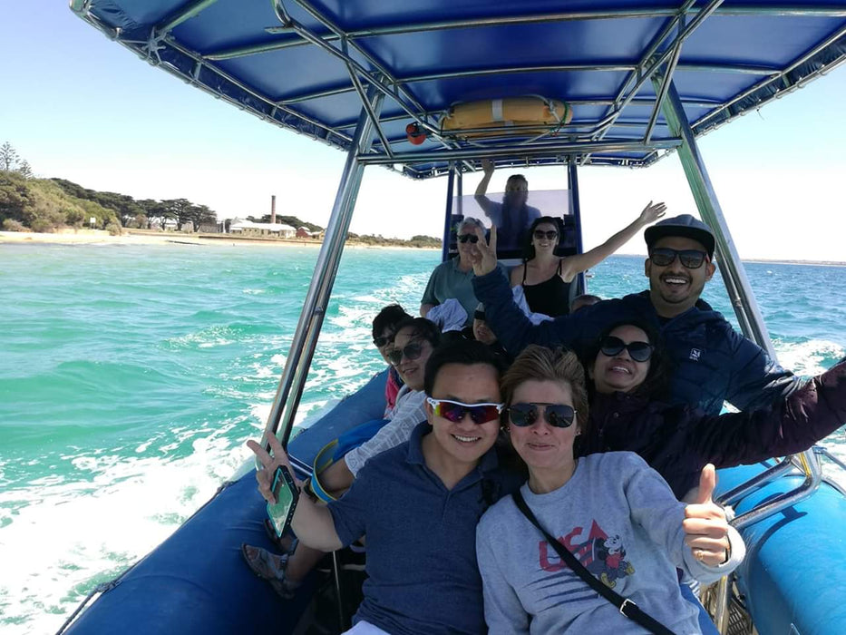 1.5Hr Dolphin And Seal Watching Eco Boat Tour Mornington Peninsula