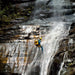 Empress Canyon Abseiling And Canyoning Adventure - Blue Mountains - We Wander