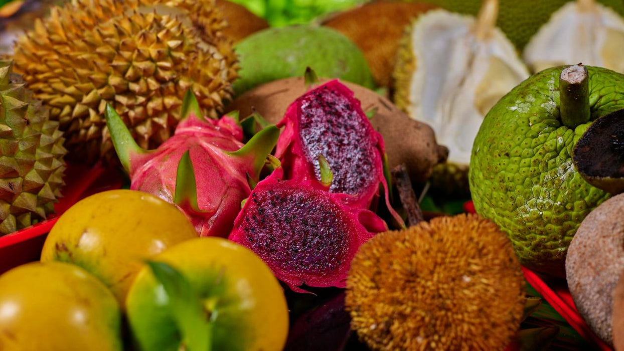 Exotic Fruit Tasting - We Wander