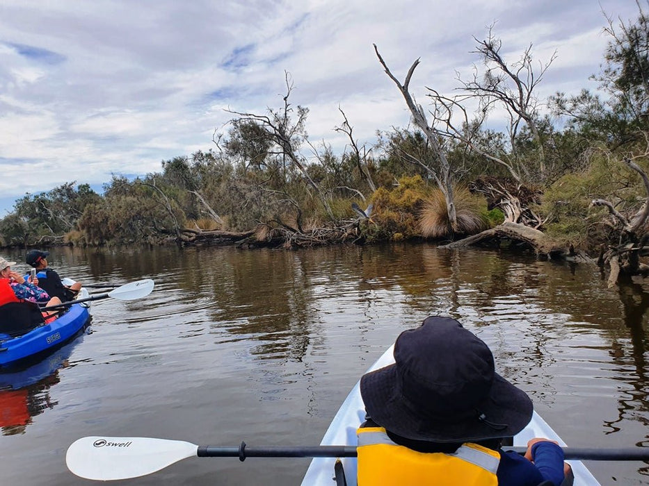 Explore Canning River Wetlands Kayak Tour - We Wander