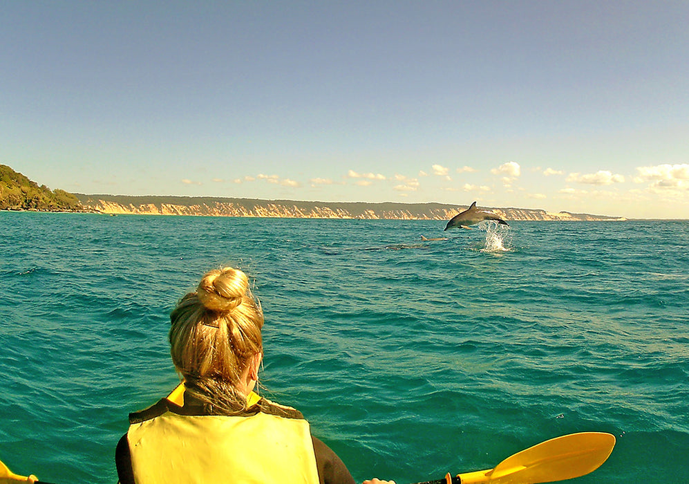 Noosa Dolphin View Sea Kayak & Beach 4X4 Adventure - Day Tour