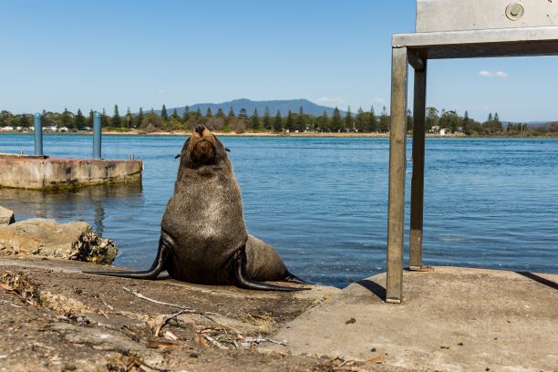 Self Guided E-Bike Tour - Pedal To Produce Series - Wildlife And Coastal Trail