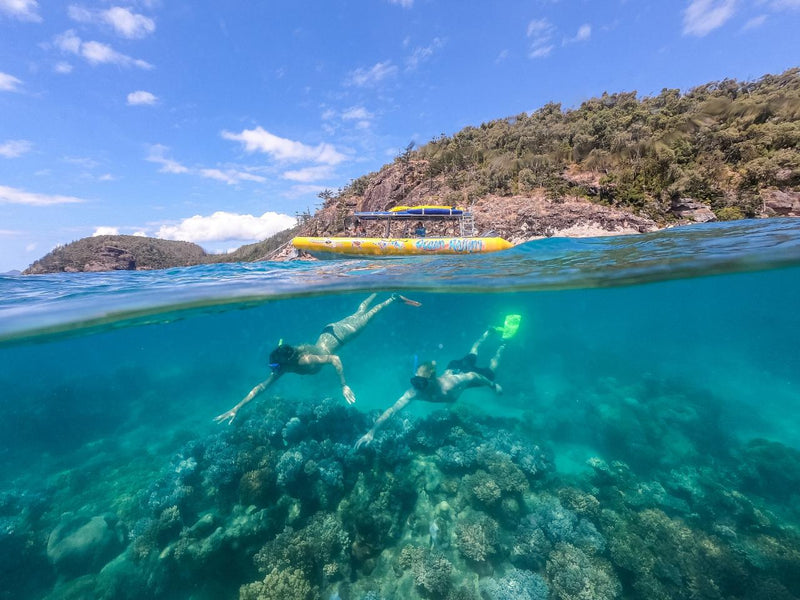 Daydream Island Northern Exposure Tour