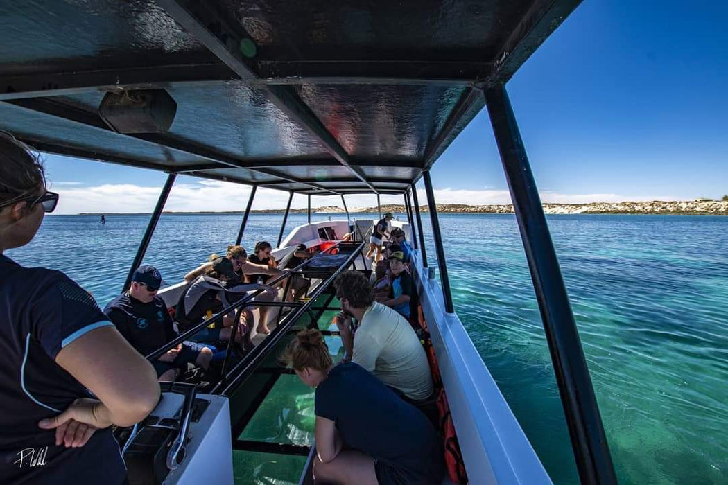 1 Hour Coral Viewing Cruise