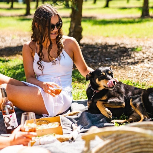 Family Picnic - We Wander