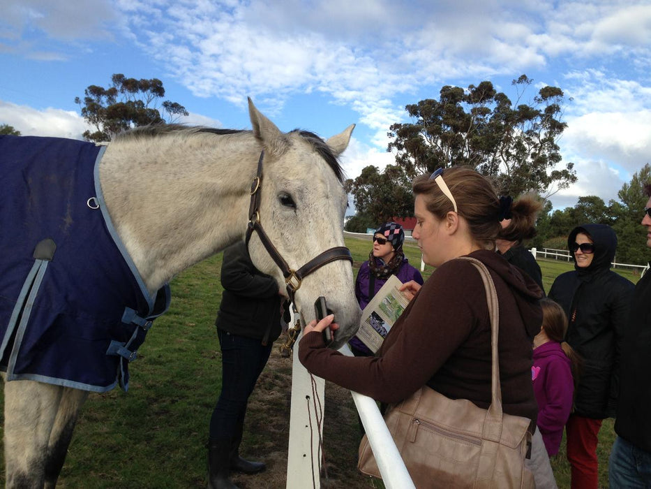 Horses, Wine & Beer Tour