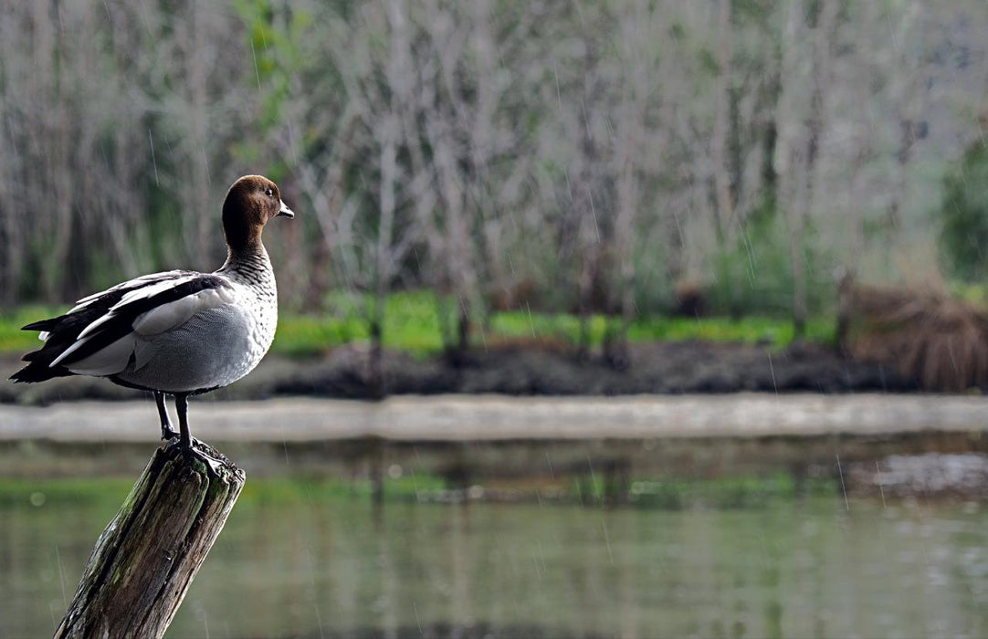 Fishermans Paradise Eco - Walk - Private Tour - We Wander