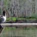 Fishermans Paradise Eco - Walk - Private Tour - We Wander