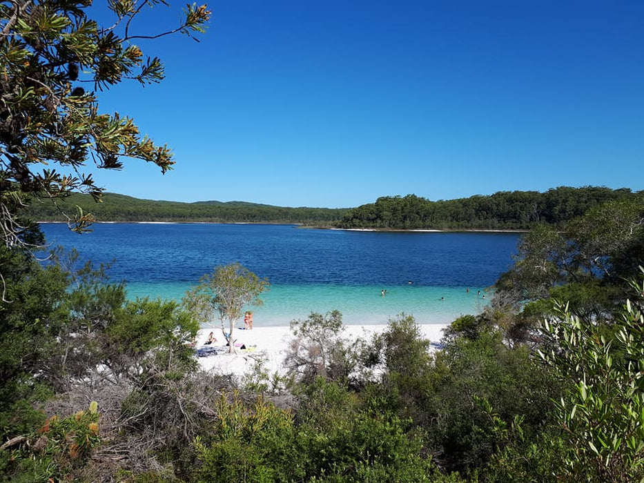 Fraser Island Exclusive 4Wd Day Tour - We Wander