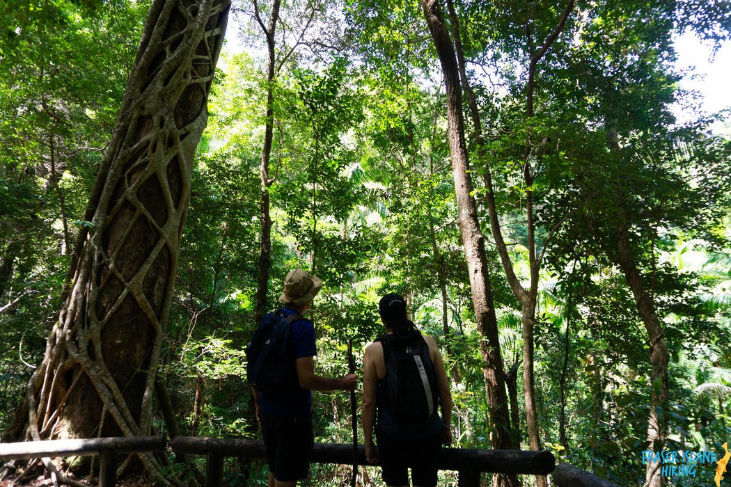 Pack-Free Camping: Lake Mckenzie Eco Walk - 2 Days