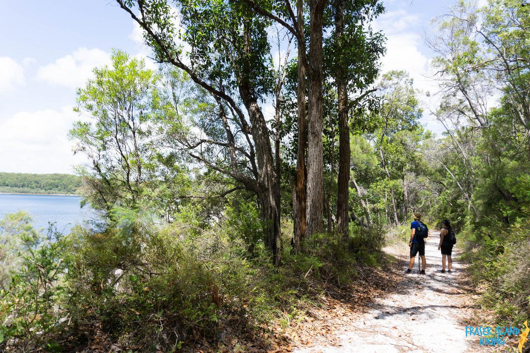 Pack-Free Camping: Lake Mckenzie Eco Walk - 2 Days