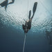 Freediving Course - Airlie Beach - 2 Day - We Wander