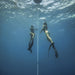 Freediving Course - Mooloolaba - 2 Day - We Wander