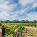 From The Ground Up Tasting At Shottesbrooke Vineyards - We Wander