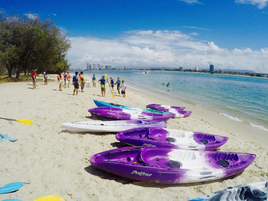 Morning Dolphin Kayaking And Snorkeling Tour