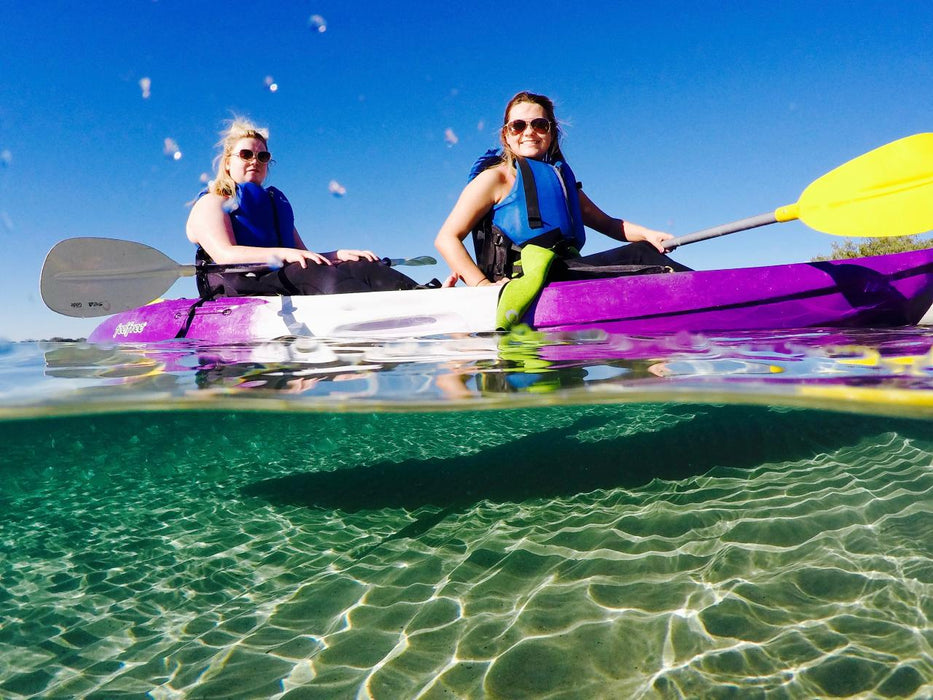 Morning Dolphin Kayaking & Snorkeling Tour