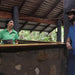 Garden Loft Accommodation At Ferntree Rainforest Lodge - We Wander